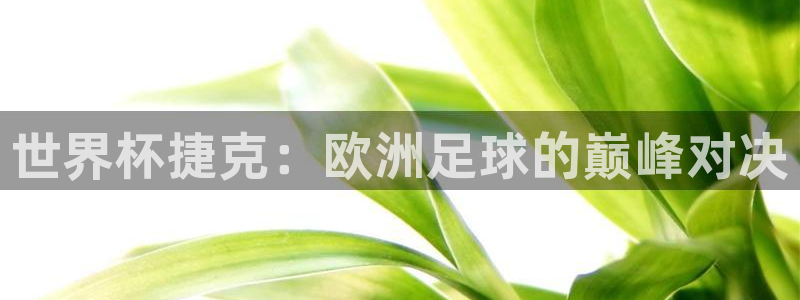 2026年男足世界杯：世界杯捷克：欧洲足球的巅峰对决
