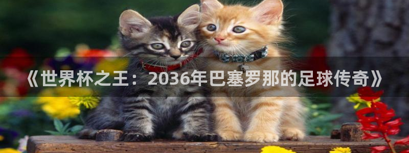 女足世界杯直播在线观看免费高清：《世界杯之王：2036年巴塞罗那的足球传奇》