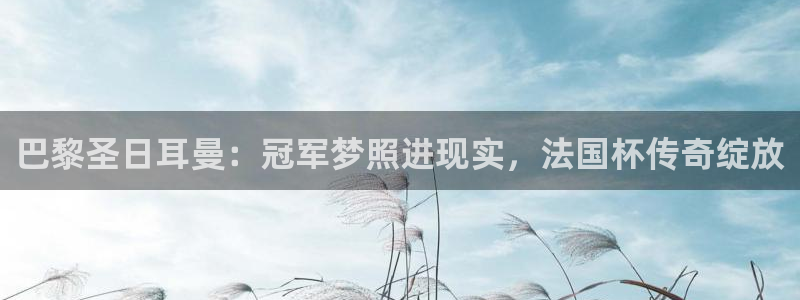 2026世界杯德国队阵容：巴黎圣日耳曼：冠军梦照进现实，法国杯传奇绽放