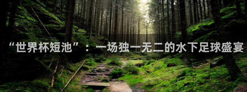 今年世界杯：“世界杯短池”：一场独一无二的水下足球盛宴