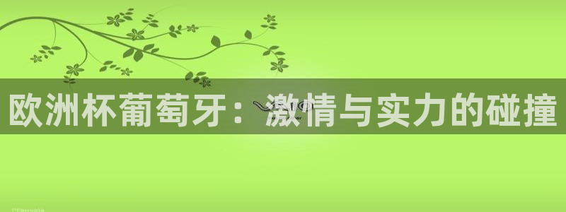 世界杯亚洲区预选赛赛程表：欧洲杯葡萄牙：激情与实力的碰撞