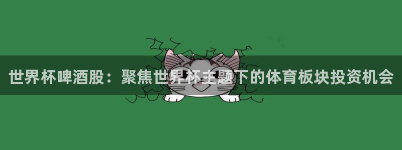 世界杯2026赛程时间表格：世界杯啤酒股：聚焦世界杯主题下的体育板块投资机会