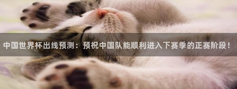 2026世界杯预选赛：中国世界杯出线预测：预祝中国队能顺利进入下赛季的正赛阶段！