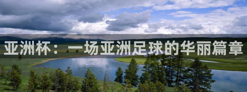 2026世界杯预选赛：亚洲杯：一场亚洲足球的华丽篇章