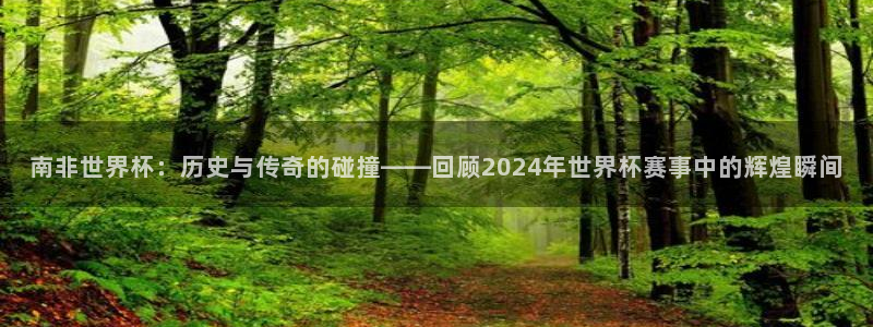 2026世界杯买球：南非世界杯：历史与传奇的碰撞——回顾2024年世界杯赛事中的辉煌瞬间