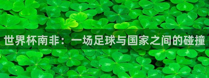 世界杯女足直播：世界杯南非：一场足球与国家之间的碰撞