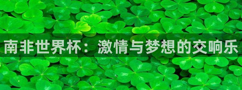 世界杯 直播：南非世界杯：激情与梦想的交响乐