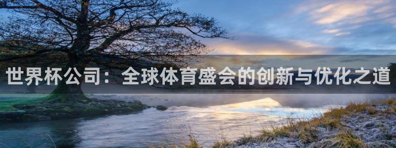 欧洲世界杯预选赛：世界杯公司：全球体育盛会的创新与优化之道