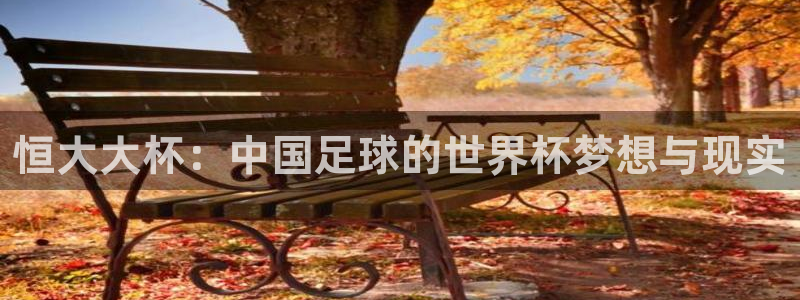 世界杯比赛直播：恒大大杯：中国足球的世界杯梦想与现实