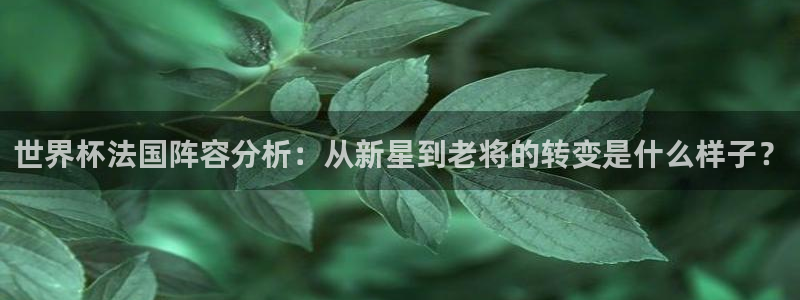 世界杯比赛时间：世界杯法国阵容分析：从新星到老将的转变是什么样子？