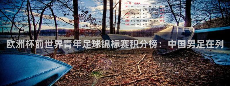世界杯比赛直播：欧洲杯前世界青年足球锦标赛积分榜：中国男足在列