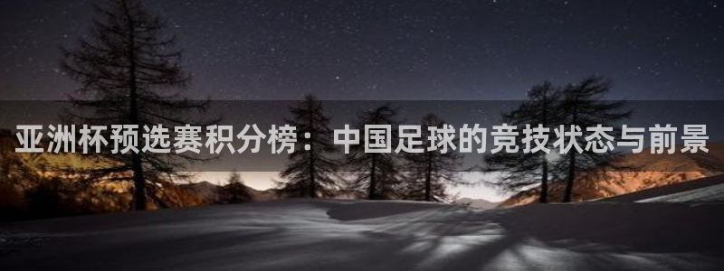 世界杯预选赛亚洲区积分榜：亚洲杯预选赛积分榜：中国足球的竞技状态与前景