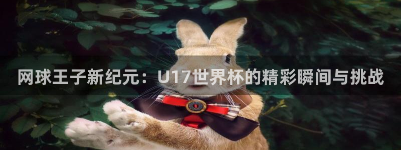 世界杯预选赛排名：网球王子新纪元：U17世界杯的精彩瞬间与挑战